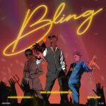 Blaqbonez Bling Lyrics