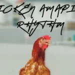 Masterkraft – Chicken Amapiano Rhythm