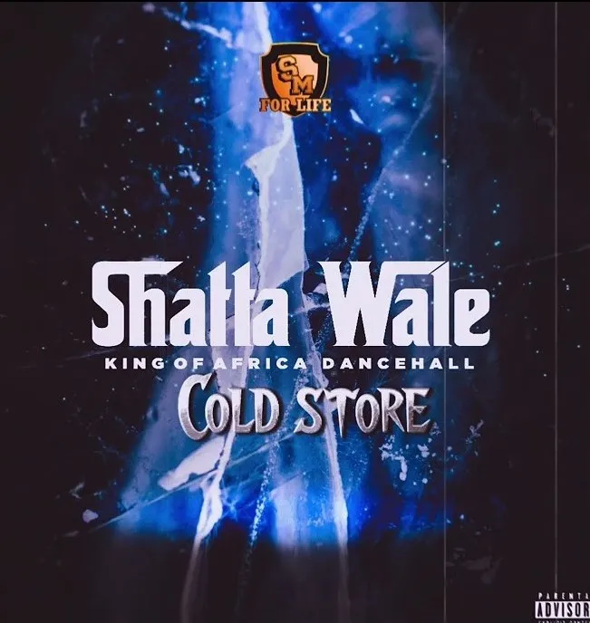 Shatta Wale – Cold Store