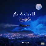 Erigga – SALB