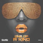 Shatta Wale – One Of A Kind