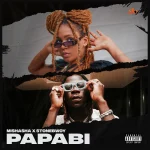 Mishasha – Papabi Ft. Stonebwoy