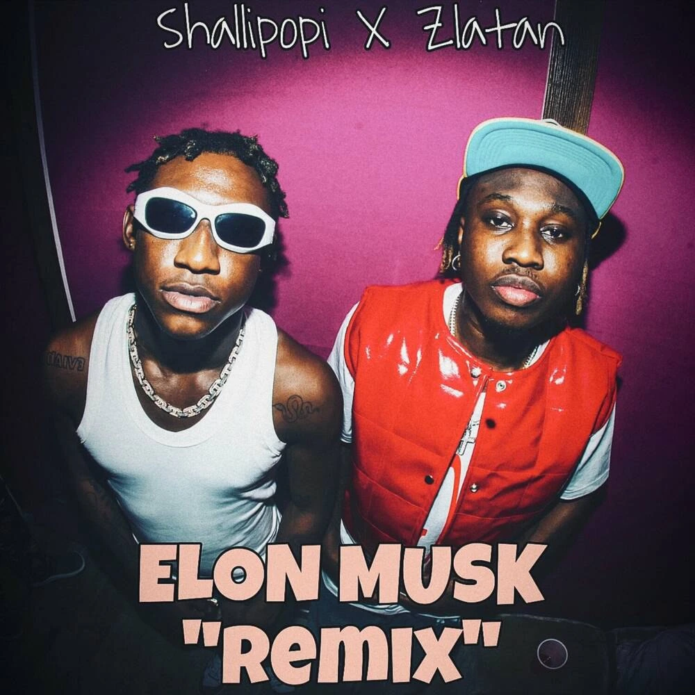 Shallipopi – Elon Musk (Remix) Ft. Zlatan