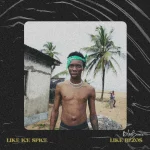 Blaqbonez – Like Ice Spice & Like Bezos