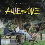 DJ Shawn – Awesome (Album)