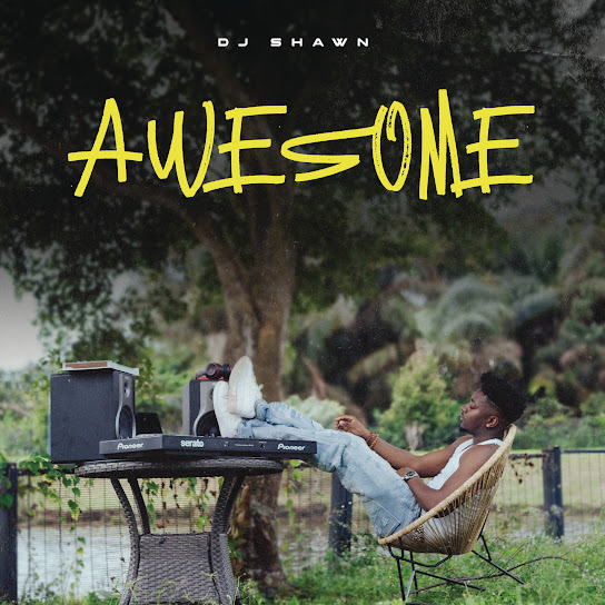 DJ Shawn – Awesome (Album)