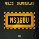 Peruzzi – Nsogbu Ft. Odumodublvck