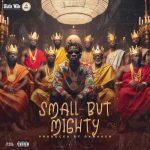 Shatta Wale – Small But Mighty